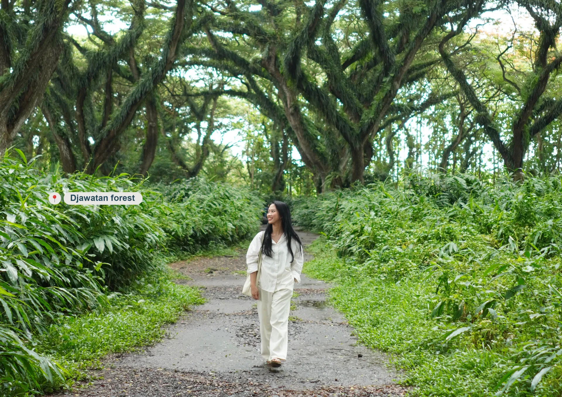1 Day Open trip (Djawatan forest & Baluran national park) documentation 1