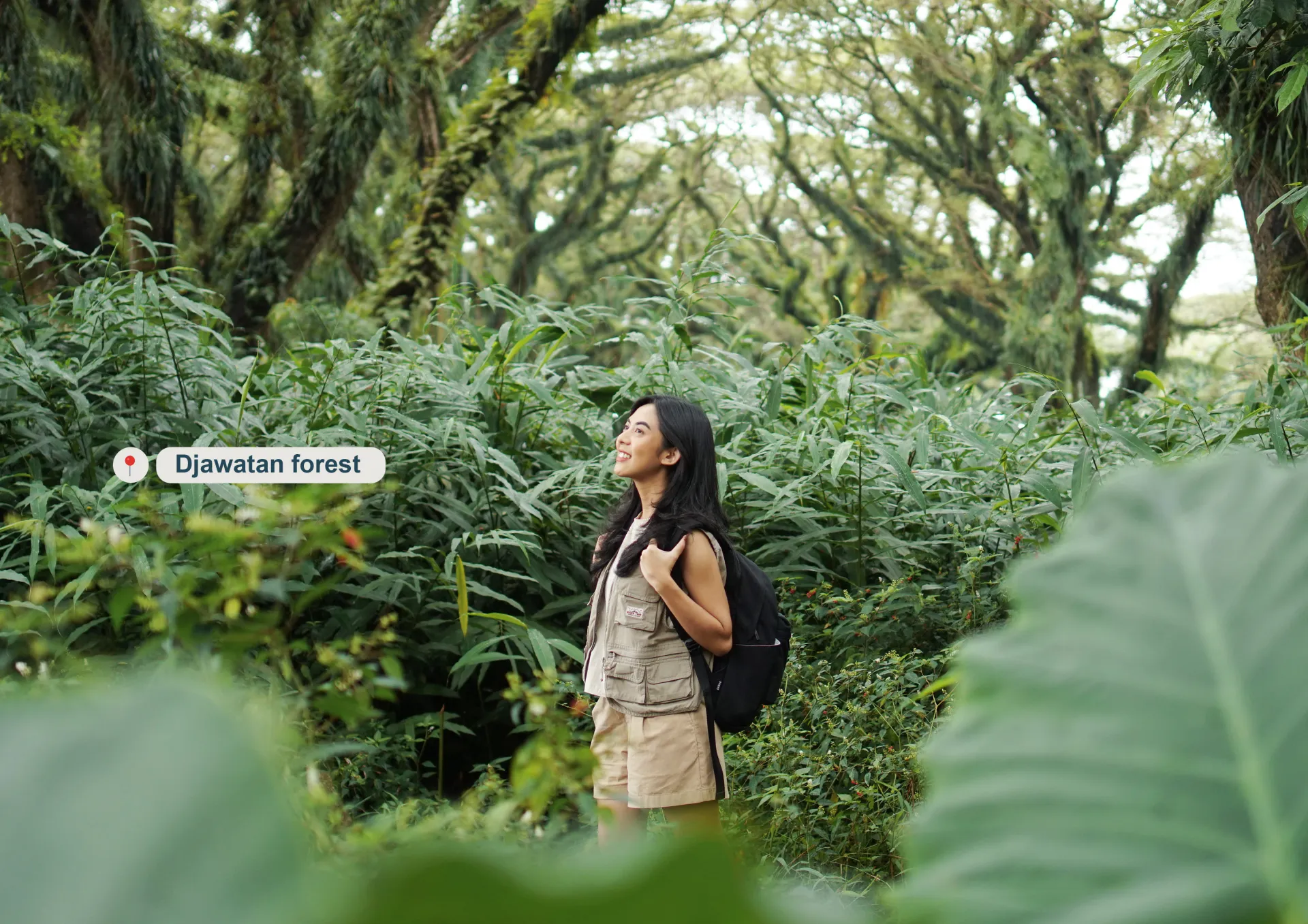 1 Day Open trip (Djawatan forest & Baluran national park) documentation 2